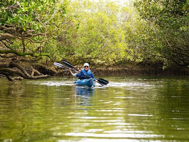 Une personne faisant du kayak dans un cours d'eau étroit bordé d'arbres, dans le Sanctuaire des dauphins d'Adélaïde